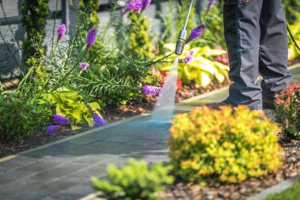 Best Spring Cleaning  in Bear Creek, FL
