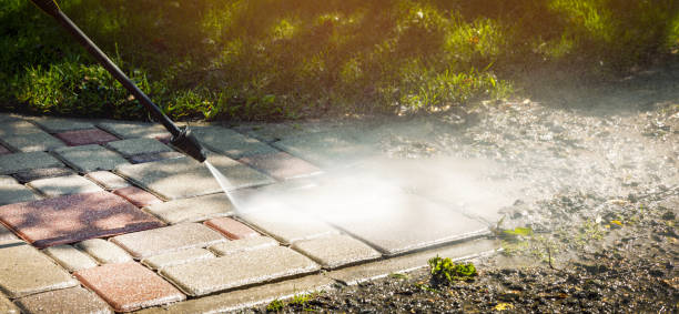 Best Sidewalk and Walkway Cleaning  in Bear Creek, FL