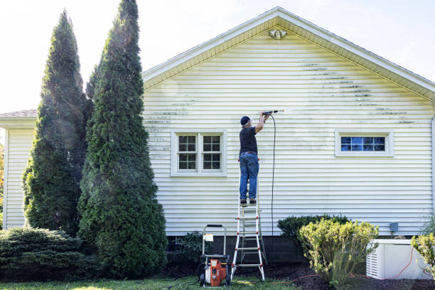 Best Roof Washing  in Bear Creek, FL